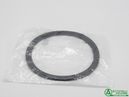 Guarn. BUD7099544 - 